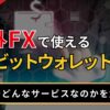 海外FXで使えるビットウォレットとは？