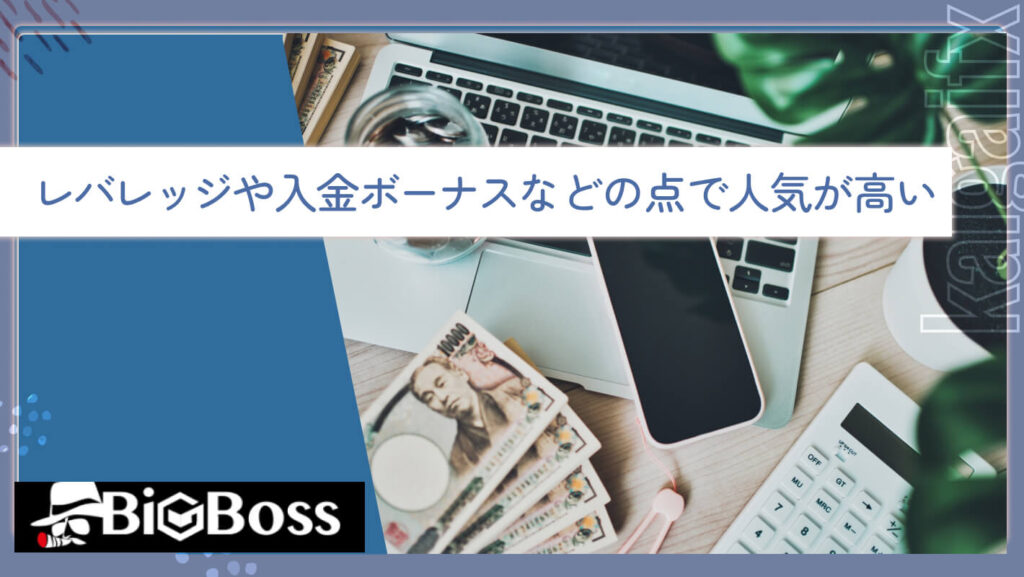 レバレッジや入金ボーナスなどの点で人気が高い