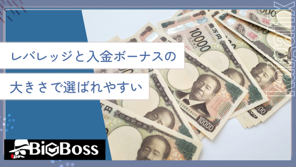 レバレッジと入金ボーナスの大きさで選ばれやすい